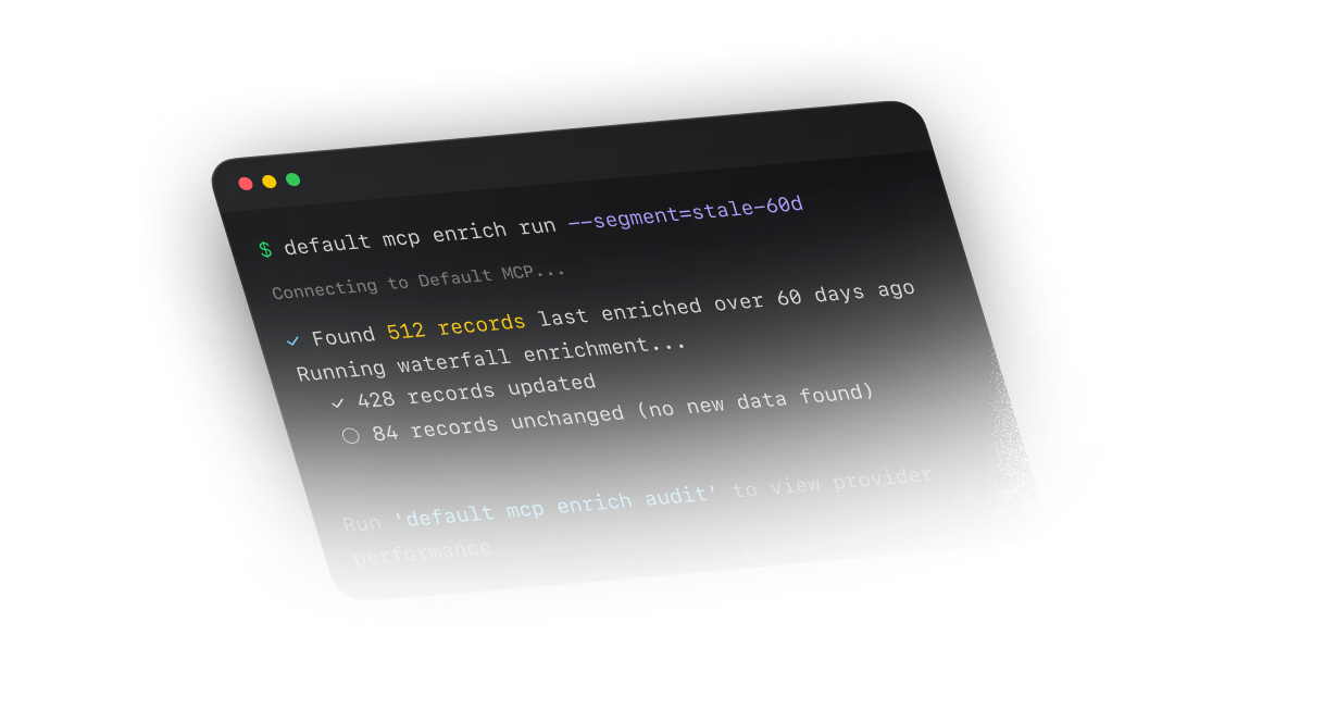 Terminal running a Default MCP enrichment command